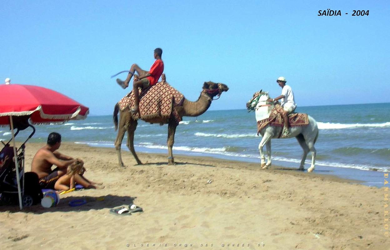 2004 09 SAIDIA FRONTIERE ALGERO MAROCAINE (26).JPG